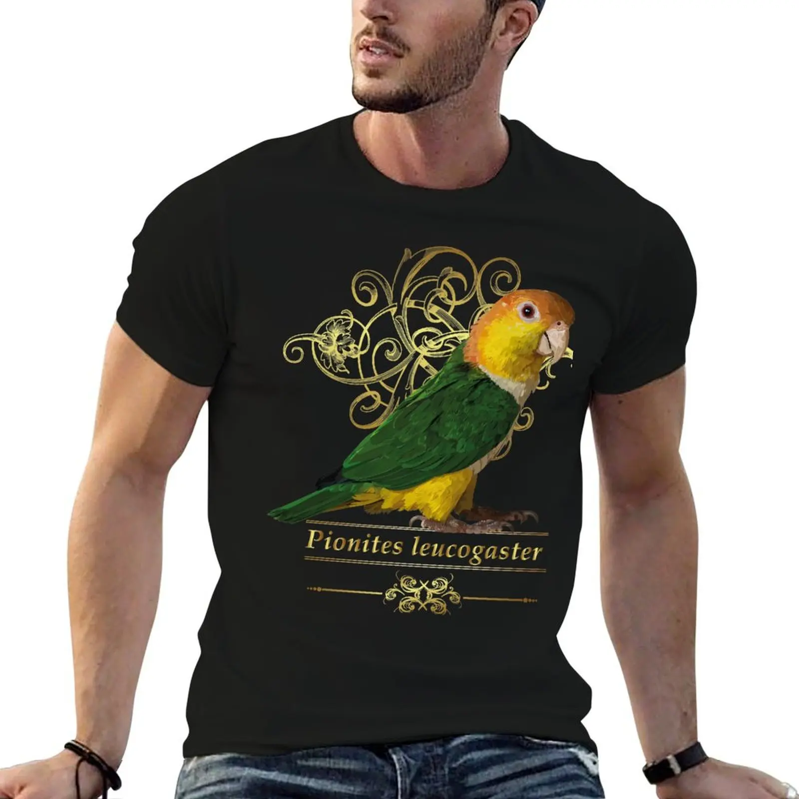 Camiseta caique, camisetas de algodón para hombre, camiseta 100% para hombre, camiseta de lujo para hombre