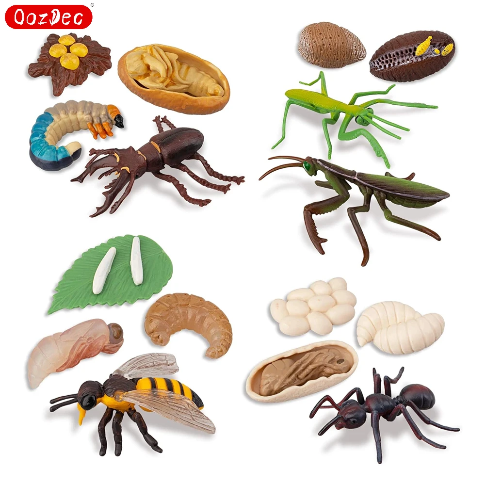 OozDec 16PCS Insect Figurines Life Cycle of Stag Beetle,Honey Bee,Mantis,Ant Plastic Safariology Bug Figures Toy Kit