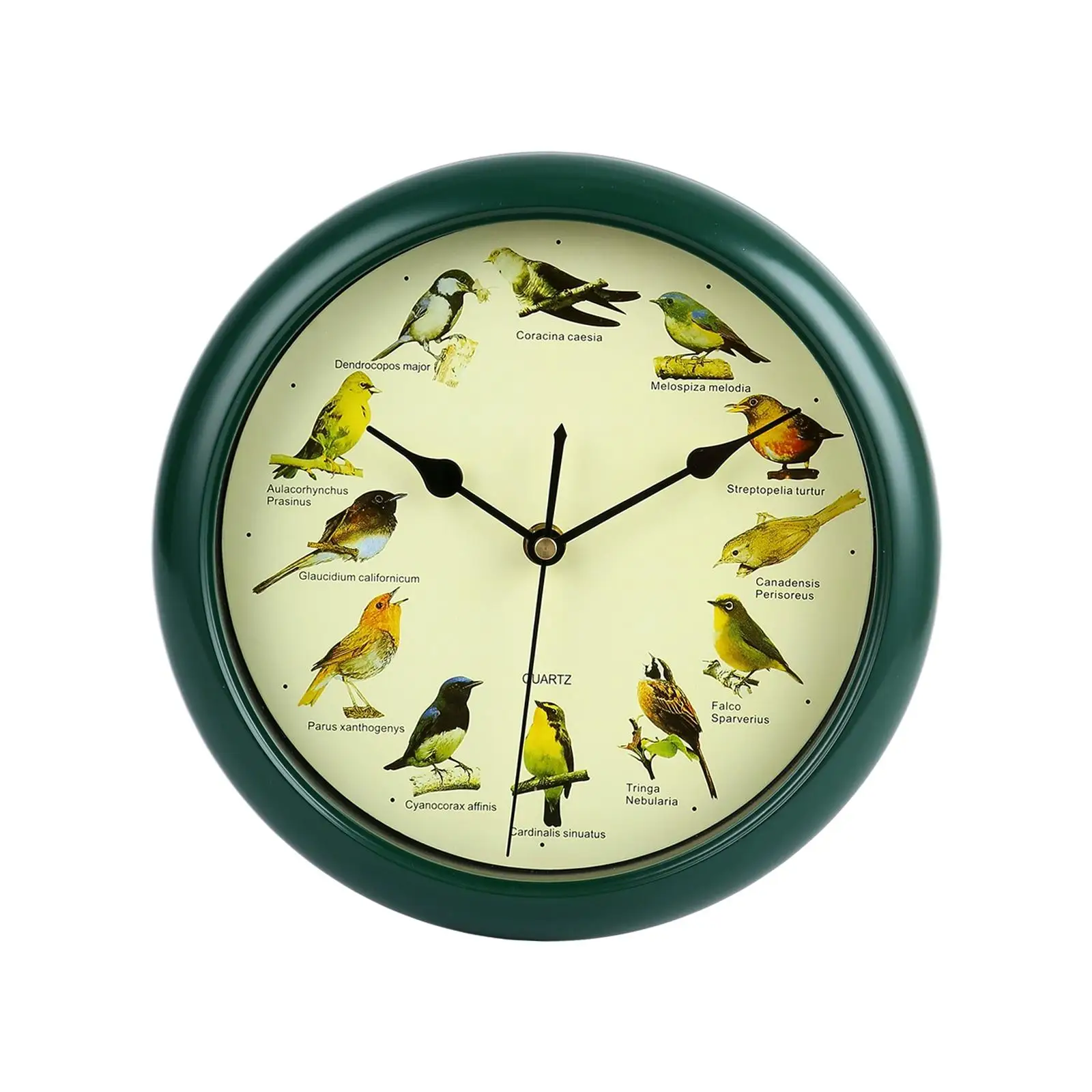 10inch Singing Wild Bird Wall Clock Battery Operated Wall Decoration Art Wall Hanging Clock for Home Living Room Bed Decors