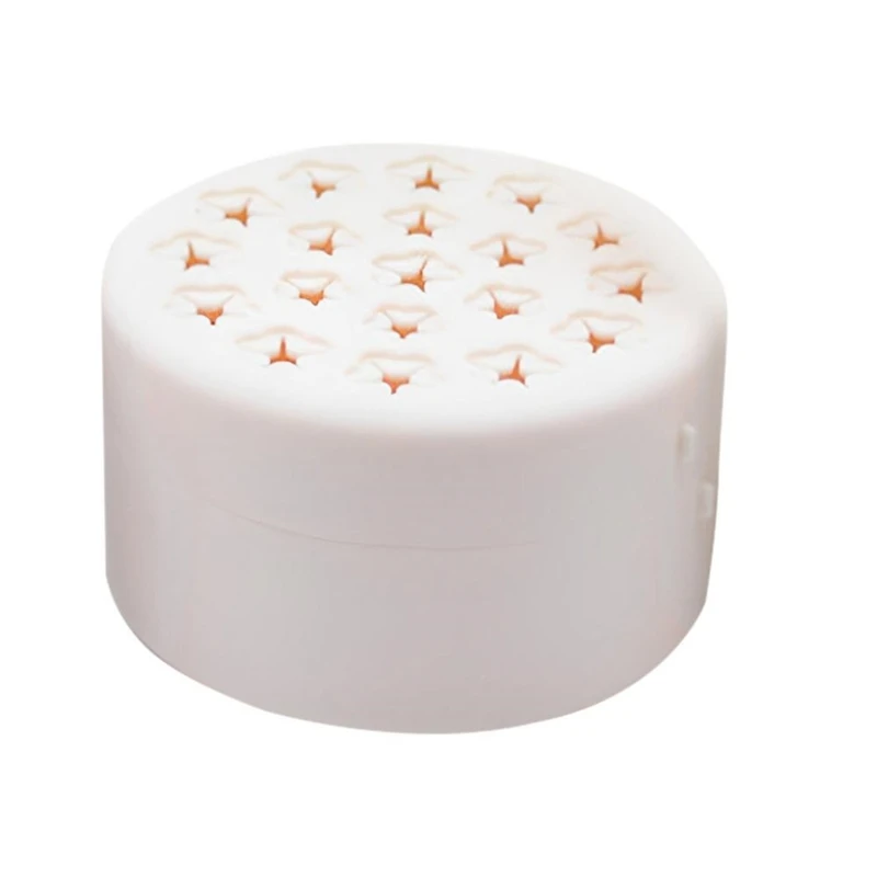 Support de tige de fleur F-3C, Support de tige de Ikebana en spirale fiable, Support d'arrangement floral pour Bouquet de bricolage, accessoire