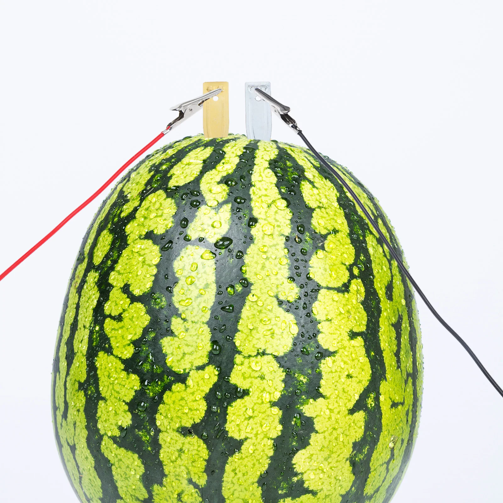 1 комплект, набор для научных экспериментов с фруктами, DIY образовательная лаборатория, научный проект для детей, школьный класс, физика, химия