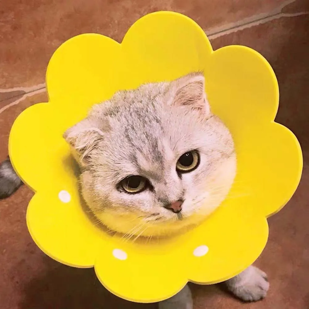 Anti-bite Surgery Wound Healing Anti-lick EVA Protection Cover Pets Protective Collar Neck Cone Recovery Elizabethan Collar