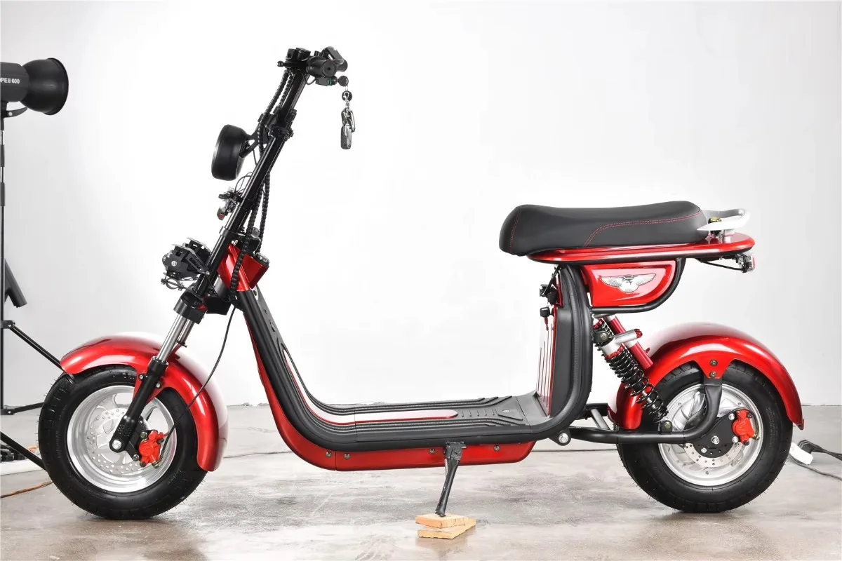 Motocicletta elettrica 1000w 48v 60v veloce elettrica per adulti