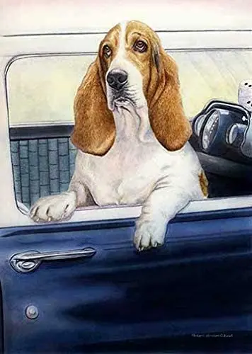 ZMKDLL Don't Forget The Biscuits Basset Hound Dog Metal Sign 12