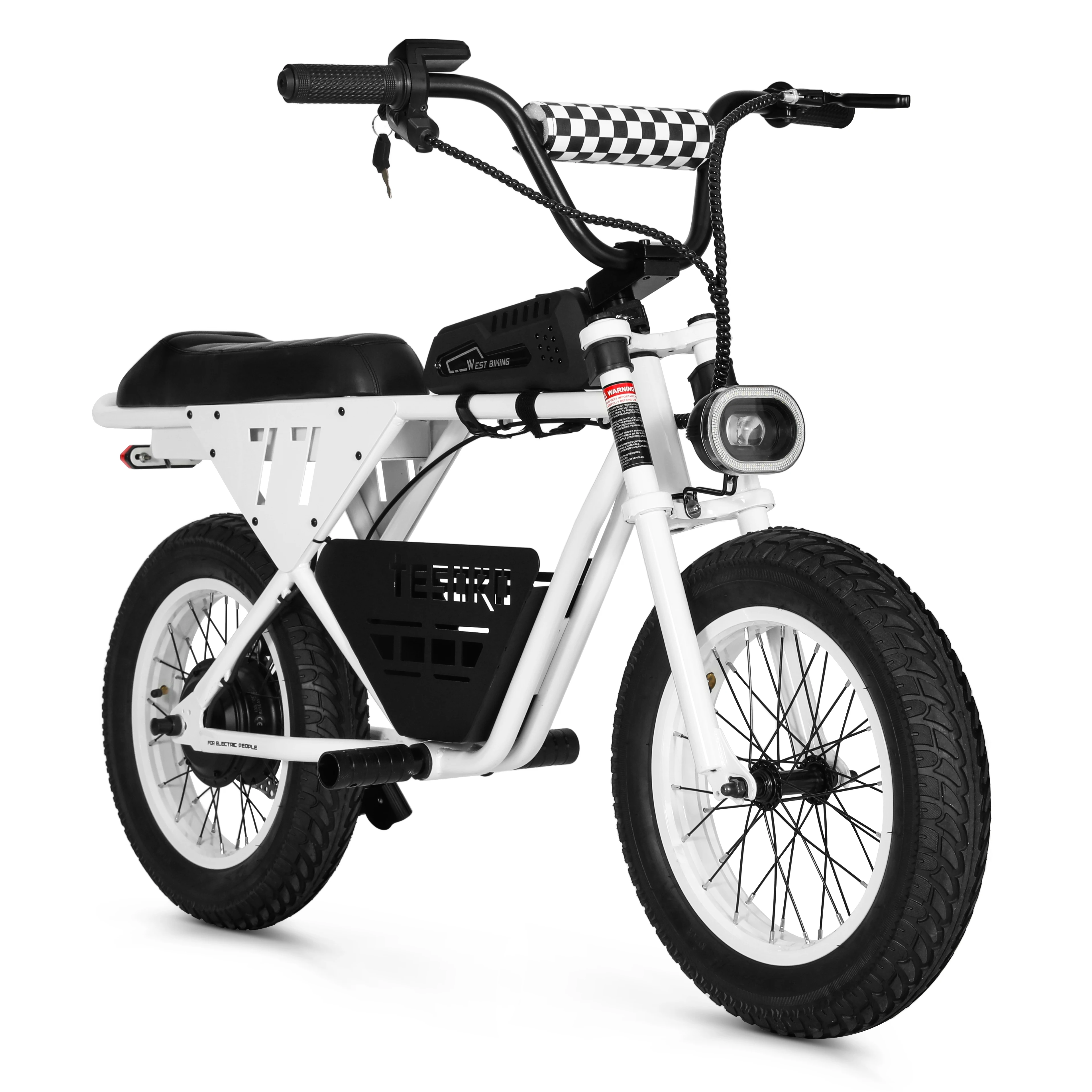 

36V 250W 350W Kids Escooter Electric Fat Tire Bike Bicycle