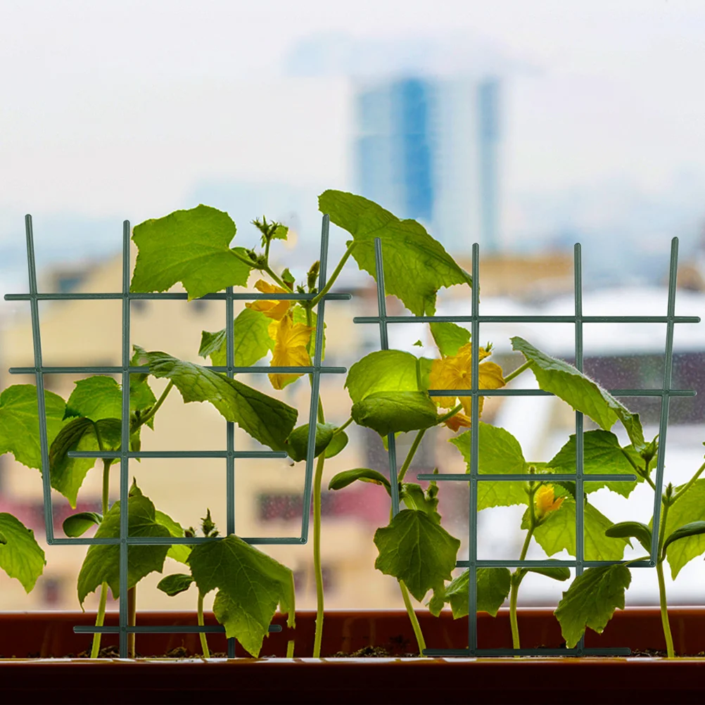 

4pcs Plant Climbing Rack Support Frame for Garden Vines Roses Peas Greenhouse Outdoor Indoor Safe Plastic Stake Durable Easy