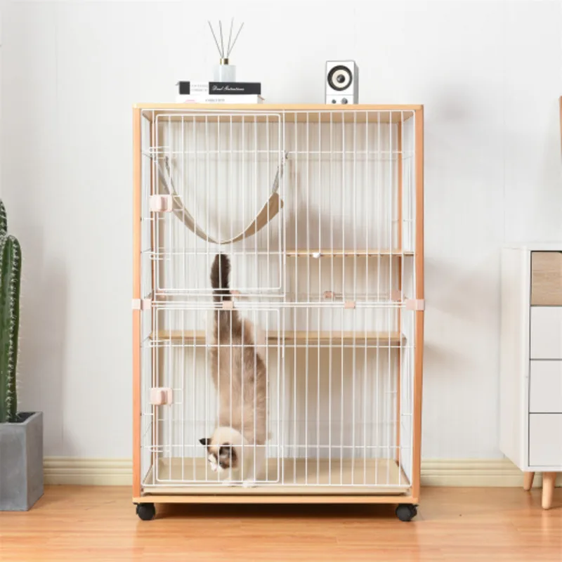 yZ[zؐLbgnEXApAEh~AΉAX`[2iAotA肵^ipnbNt