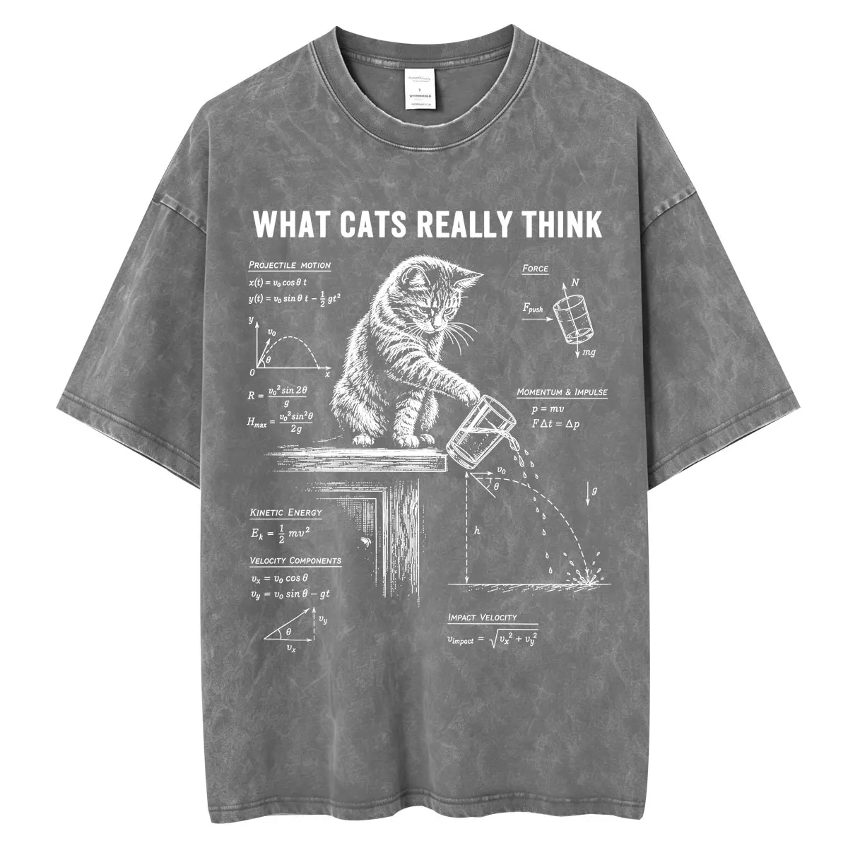 Funny What Cats Really Think Washed T Shirt Humor Cat Physics Science Men Women Vintage T-shirts Oversized Cotton Casual T-shirt