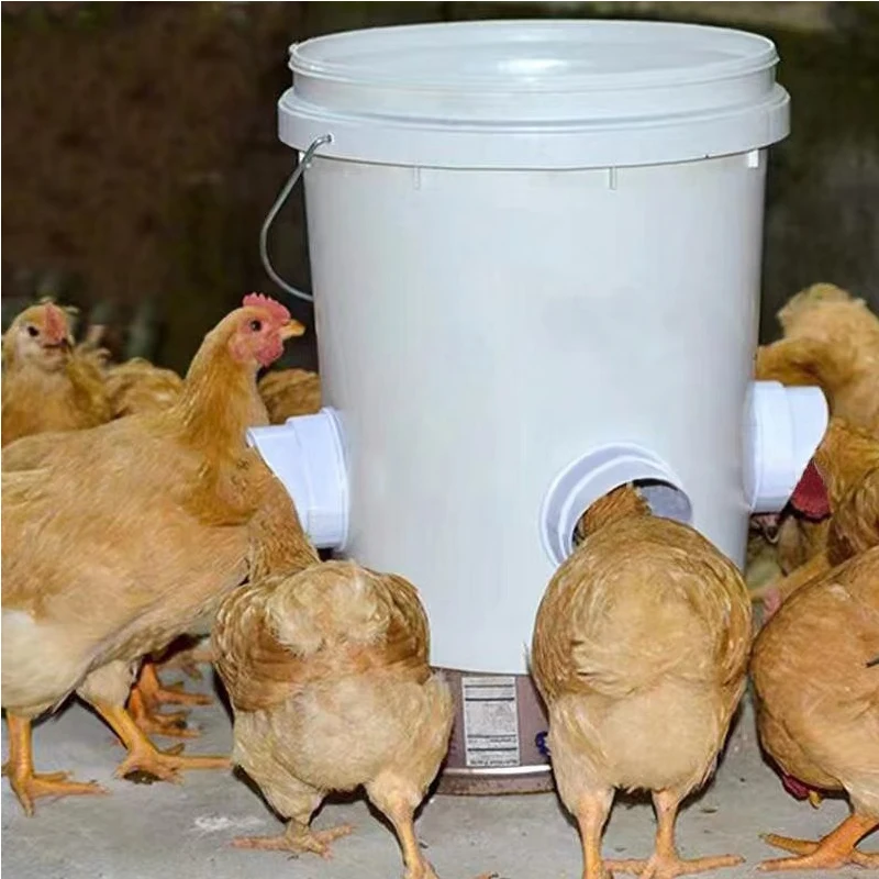 Chicken Feeder Poultry Feeder For Bucket Tank Barrels Bins Gravity Feed Kit Troughs DIY Rainproof Feeder Port Kit