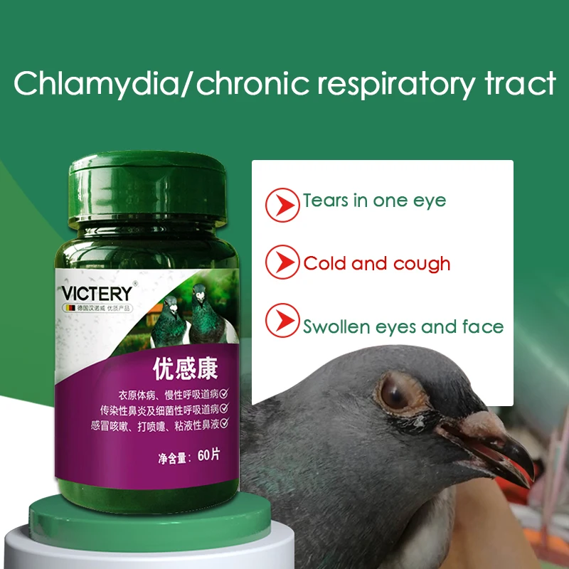 Pigeon Chlamydia Chronic Respiratory Monocular Cold Bird Parrot Pigeon Medicine