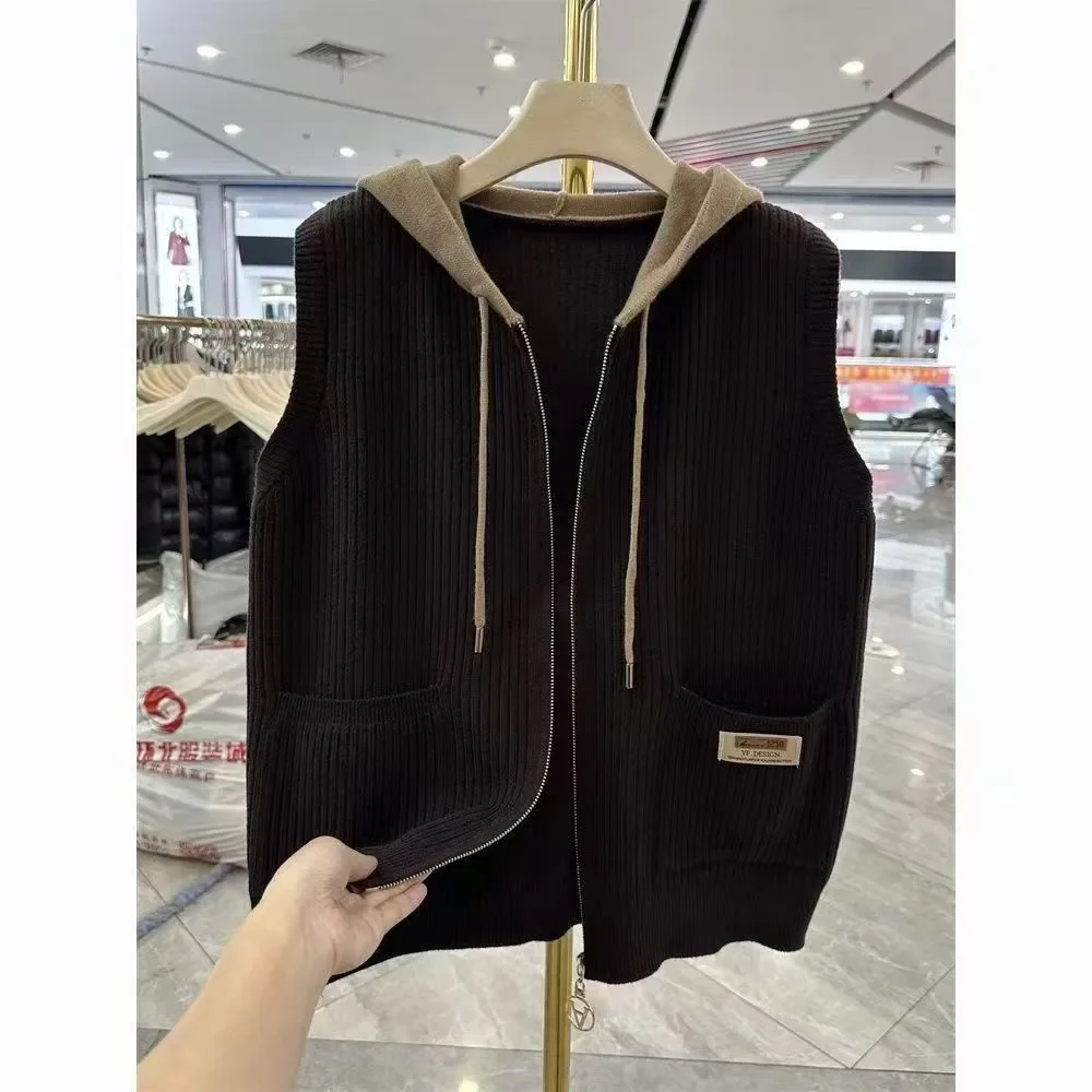 

Новый весенне-осенний жилет с капюшоном для женщин, свободный и модный универсальный короткий жилет, топ