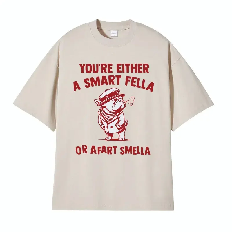 Are You A Smart Fella or Fasskrt Smella Funny Meme T Shirt Men Women Vintage High Quality Casual 100% Cotton T-shirt Y2k Stwear