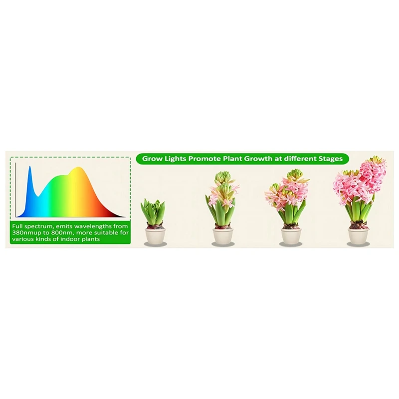 Kweeklicht, Spectrum Geleid Plantenlicht Voor Kamerplanten, In Hoogte Verstelbare Kweeklamp Voor Bloemen En Bonsai Plantengroei