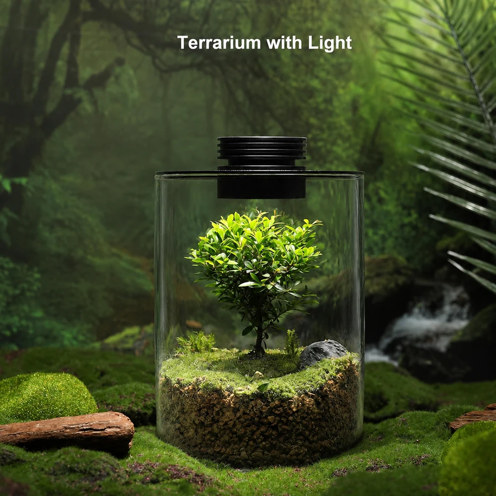 Desktop Glass Plant Terrarium with Grow Light Planter for Succulent Moss Miniature Gardening Landscape, Fish Tank Indoor Plant