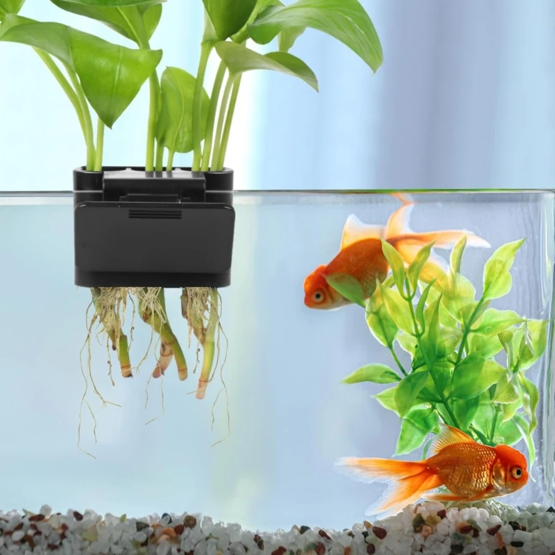 Porte-plante aquatique à 3 trous, cadre poisson, étagère pour Aquarium, culture plantes aquatiques, matière plastique pour
