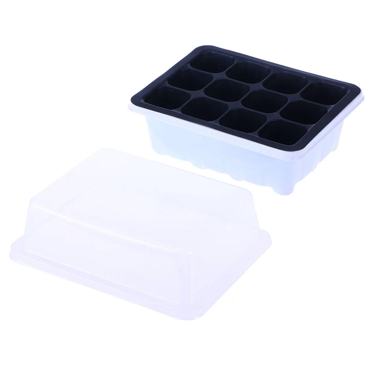 

sprouter tray growing trays Sprout Plate