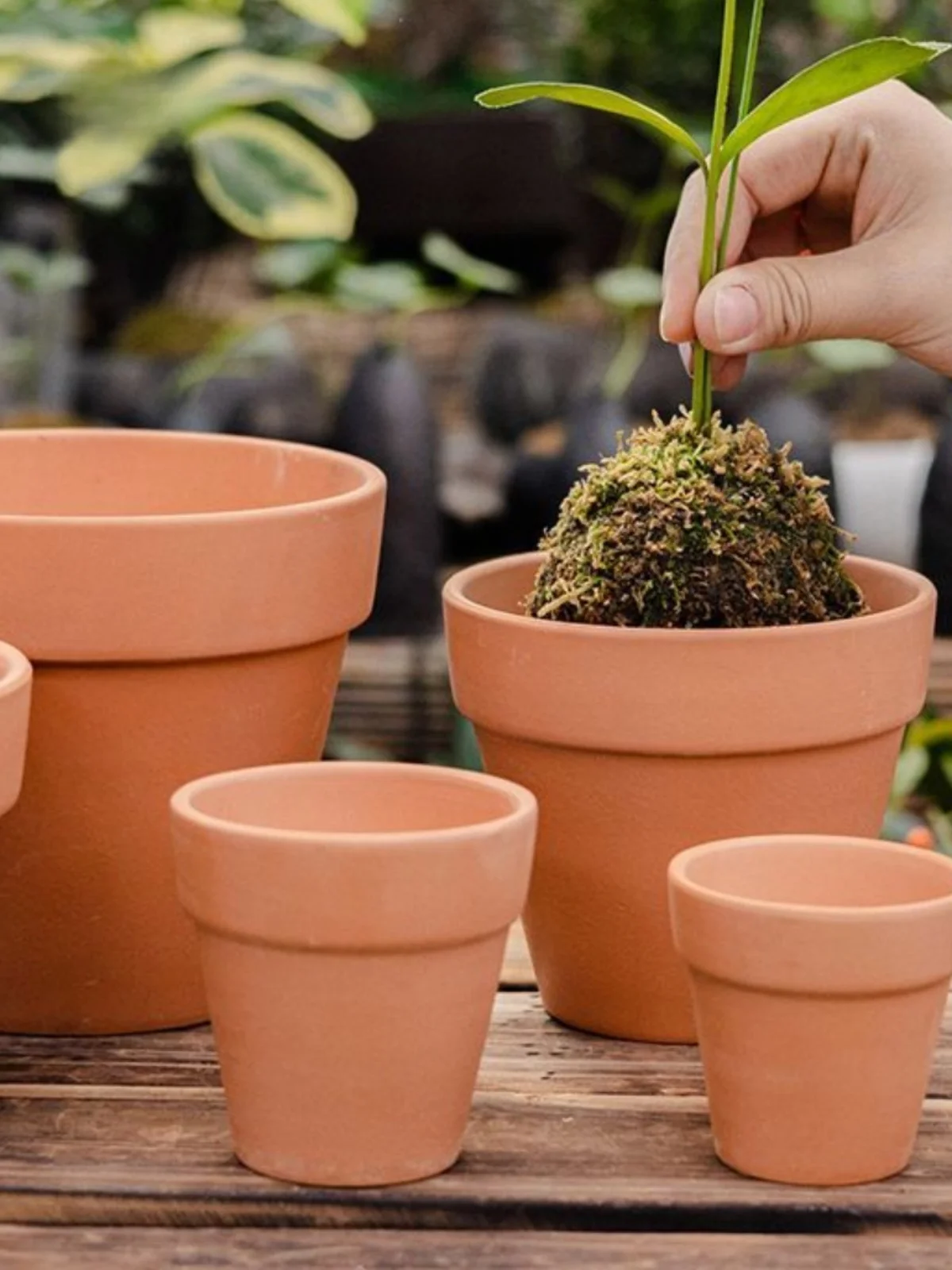 Small Red Clay Pot Porous Absorbent Succulent Plant Flower Pot Rural Sle round Mouth Plant Pots for Balcony Garden Decoration