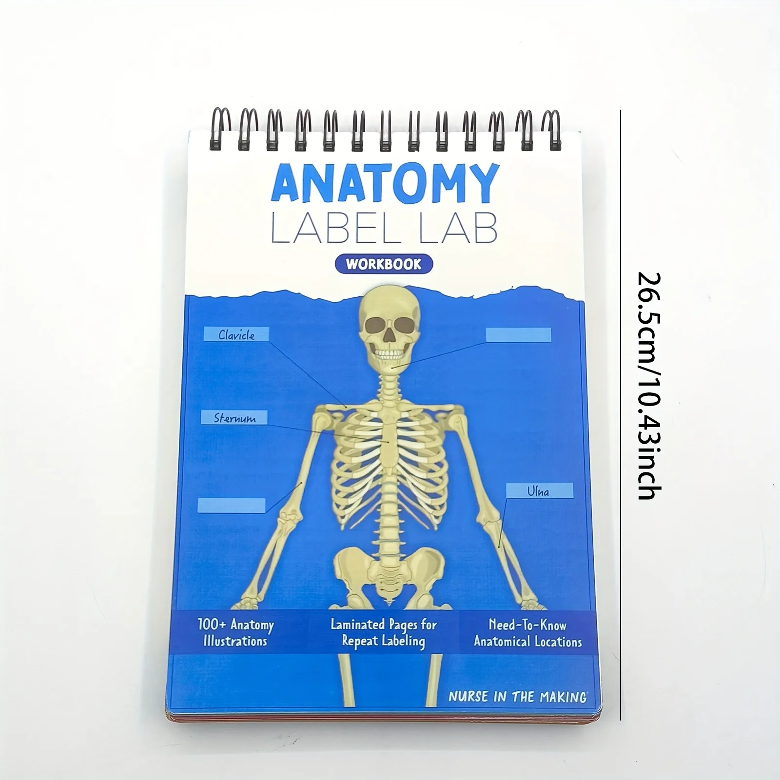 مصنف مختبر ملصقات التشريح - 100 صفحة متعددة من صور جسم الإنسان بالألوان الكاملة، صفحات سهلة الكتابة والتشريح والجسم