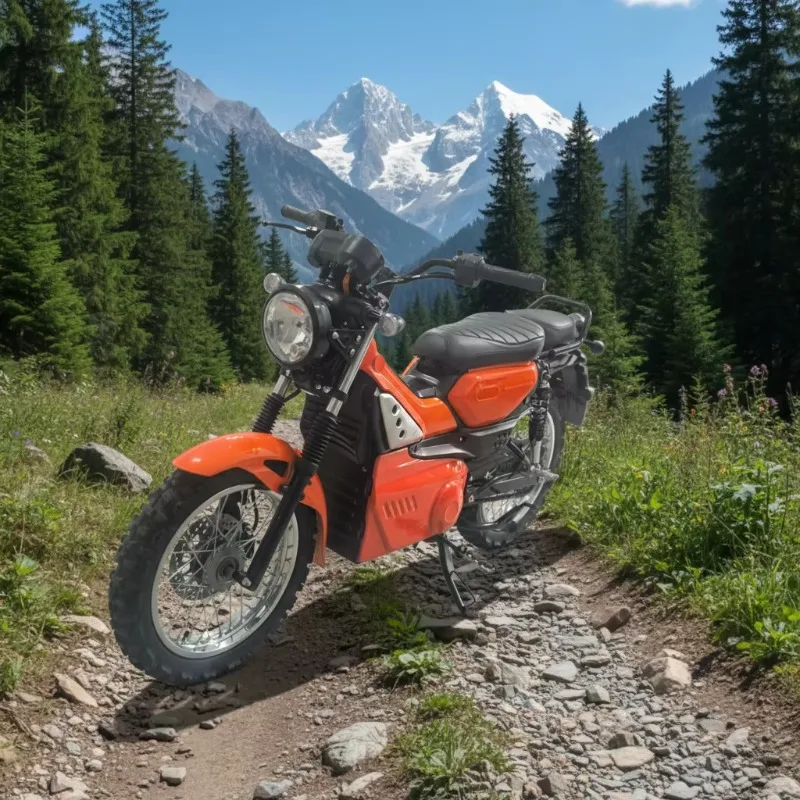 Krono Wild 2026 Hot Selling 16inch Electric Motorcycle With Removable Battery