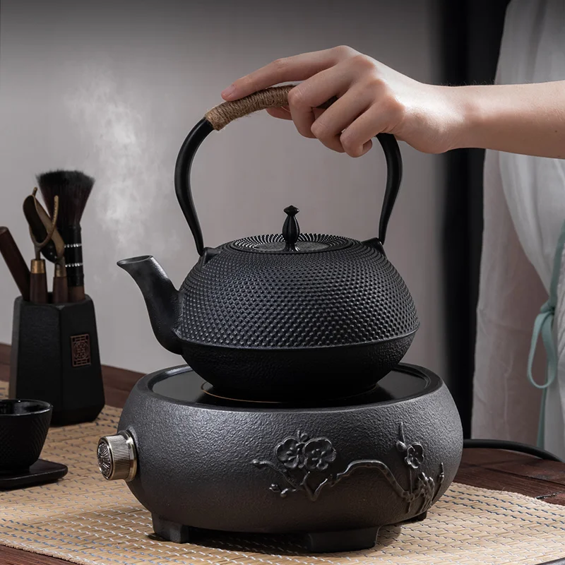 GIANXI Iron Tea Pot with Stainless Steel Infuser Cast Japanese Iron Teapot Oolong Tea Kung Fu Tea Puer Tea Tea Kettle