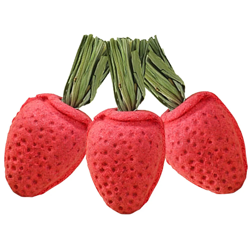 3 Pcs Rabbit Chew Toys Hamster Teething Prop Bite Chinchilla Props Strawberry Bunny