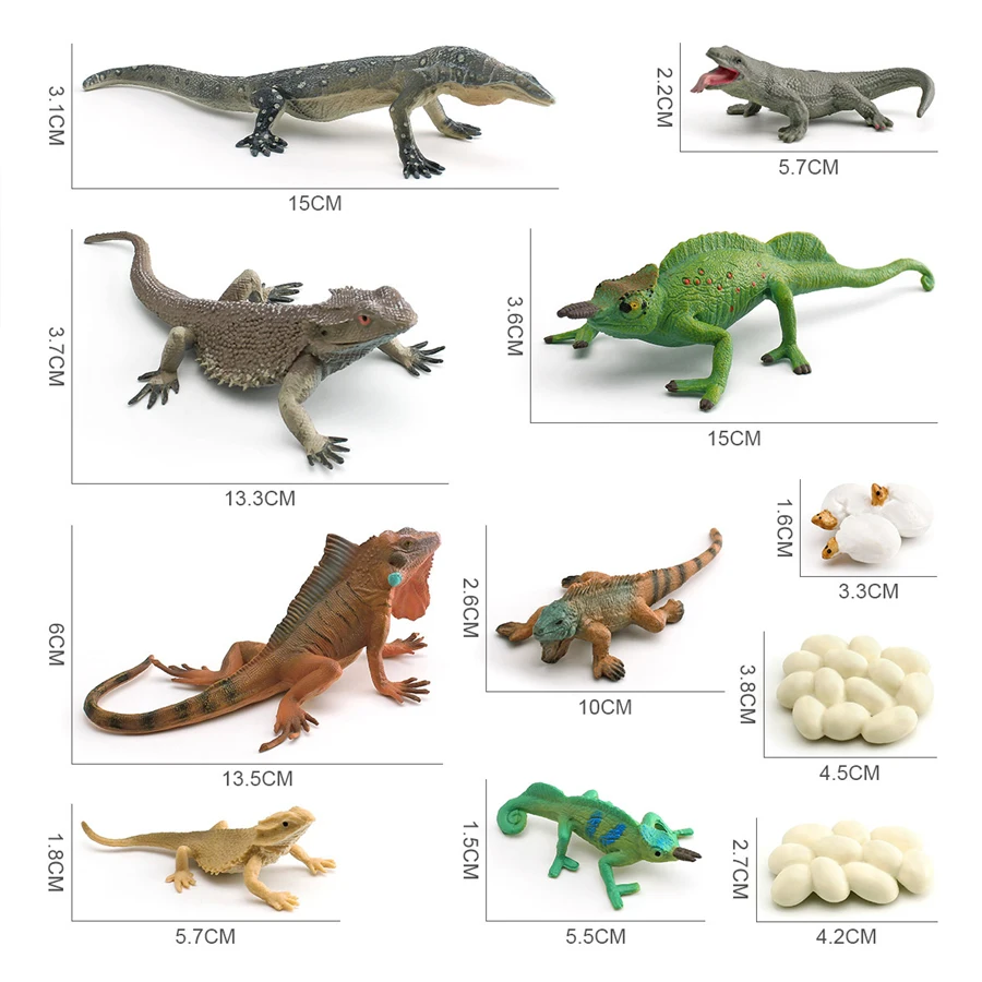محاكاة الحرباء التنين الملتحي رصد السحلية Iguana دورة نمو الحياة الزواحف نماذج للحيوانات أرقام ألعاب تعليمية