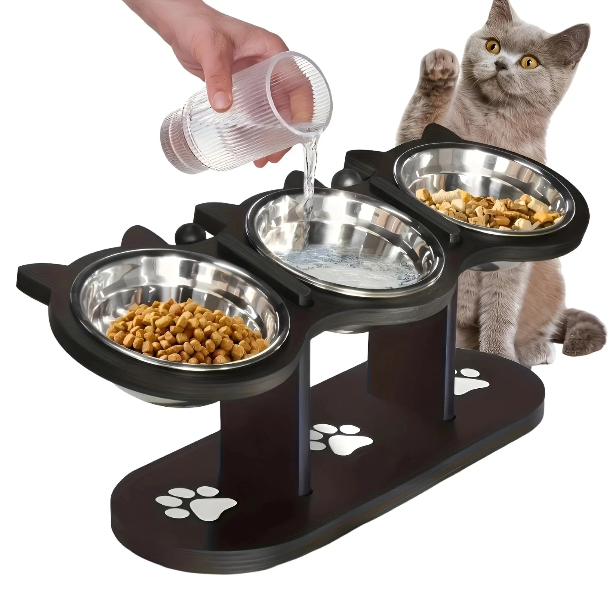Elevated Cat Food Bowl with Black Wooden Support Frame Stainless Steel Cats Bowls 15° Stand Sloped Feeding & Watering Supplies