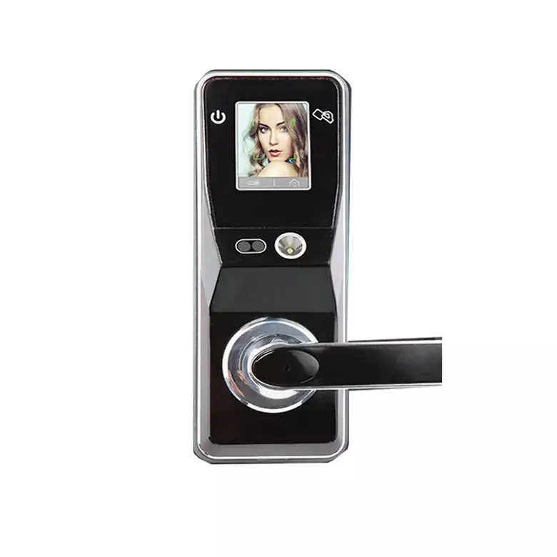 Face Recognition Smart Door Lock, alta segurança, controle remoto, Fingerprint Door Lock, câmera