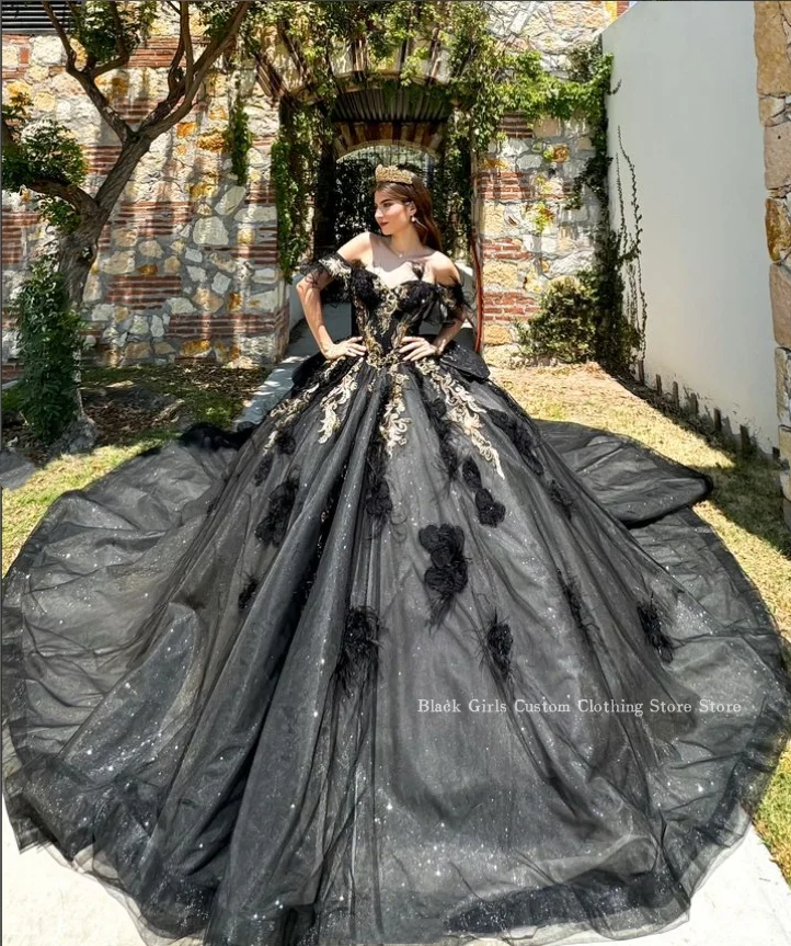 Precioso vestido de baile de princesa para quinceañera, traje negro de un hombro con apliques de cuentas de plumas, tren de la Catedral de México