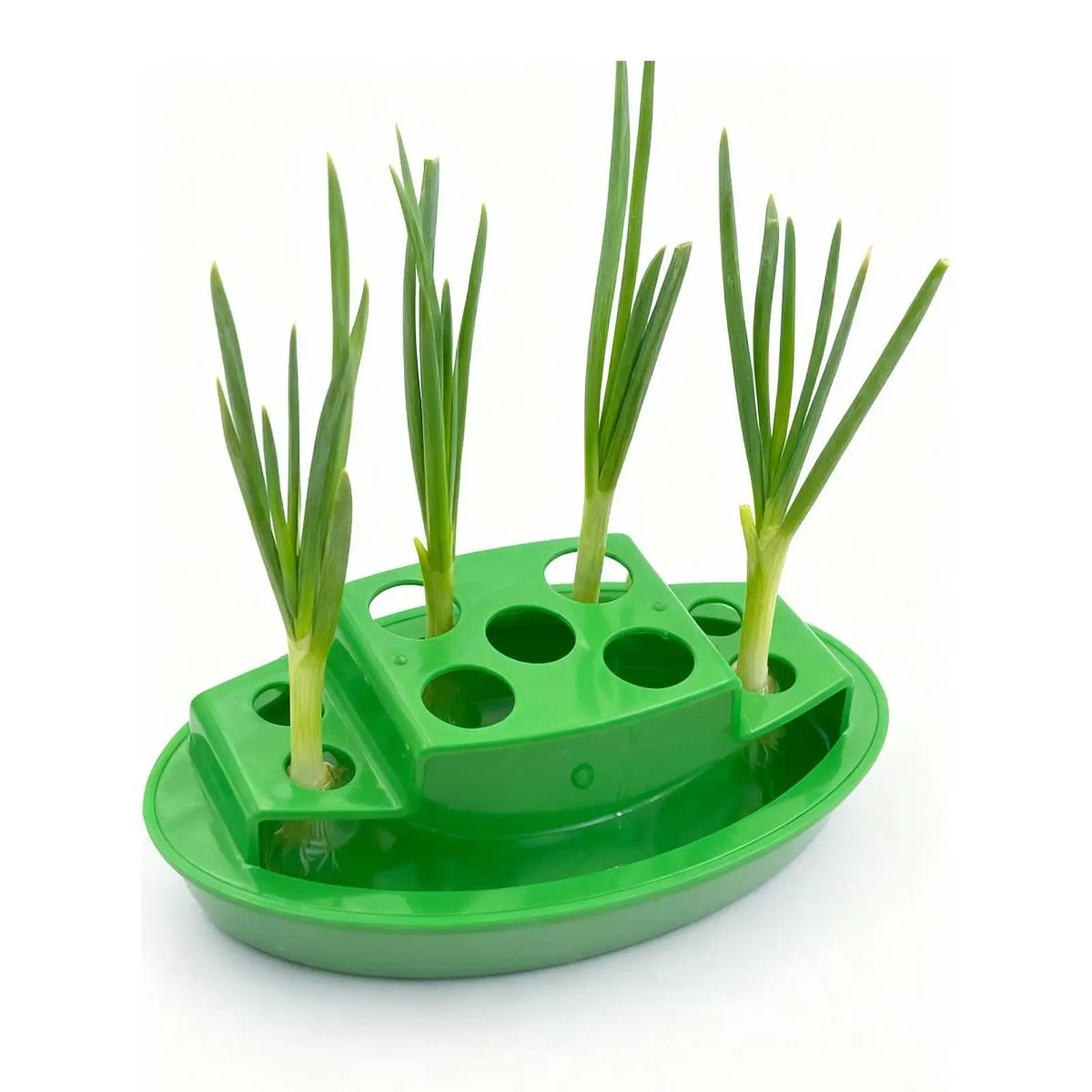 Indoor Hydroponic Grower Green Onion Regrower Wear Resistant Sturdy Versatile Sprouting for Lettuce Parterre Outdoor Office