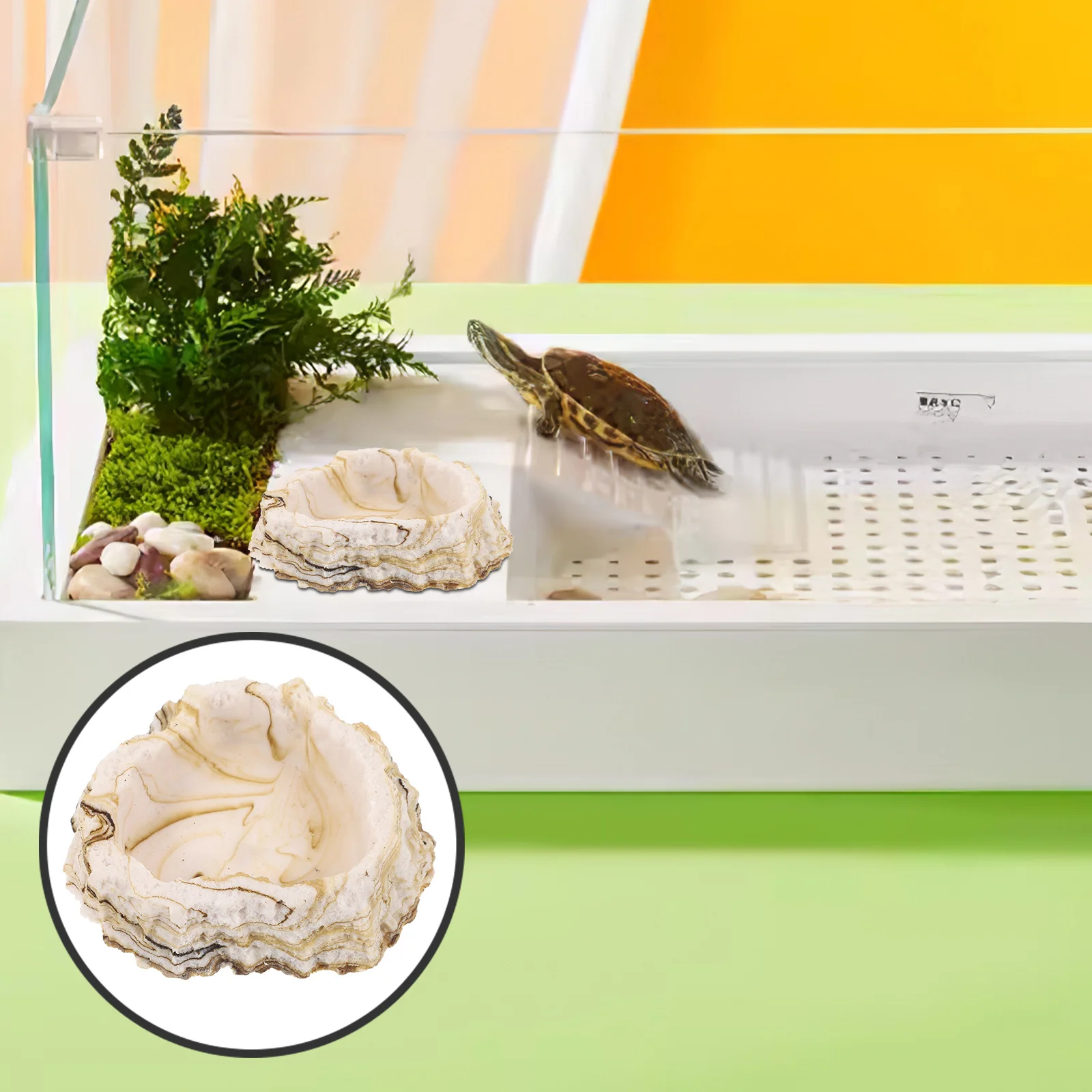 

Resin Rock Reptile Feeding Bowl Stable Durable Smooth Surface Non-Slip Reptile Food Water Dish Terrarium Feeder