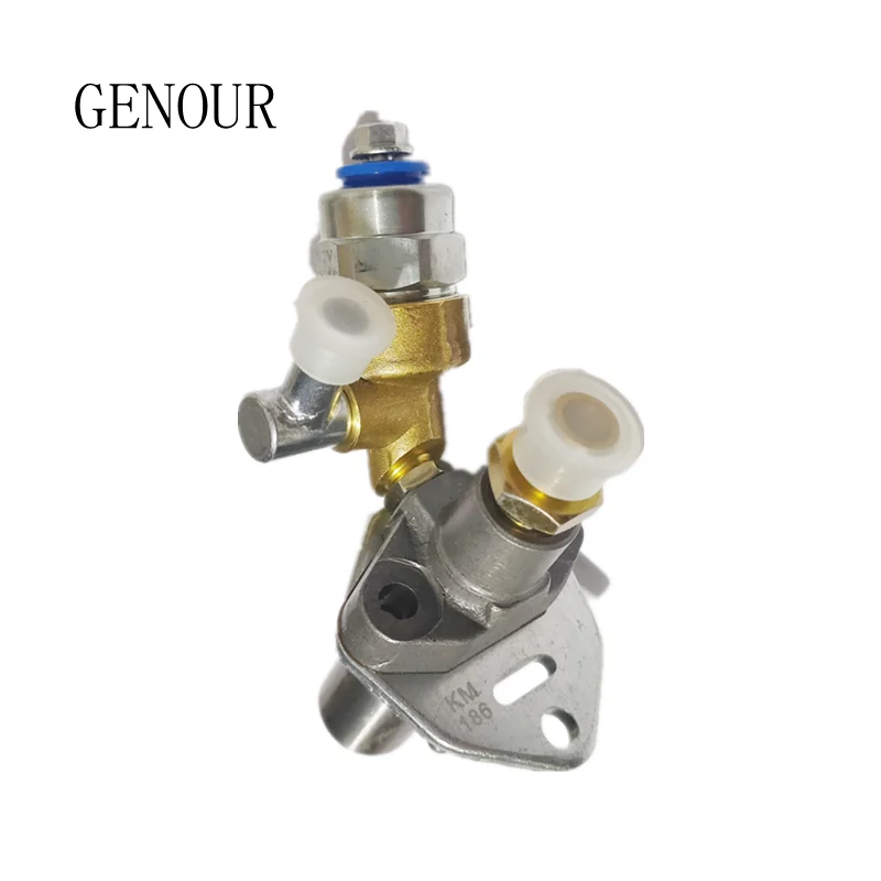 

FUEL INJECTOR PUMP ASSY FOR YANMAR 186F 186FA DIESEL FREE POSTAGE 5KW 5.5KW GENERATOR CULTIVATOR INJECTION WITH SOLENOID VALVE