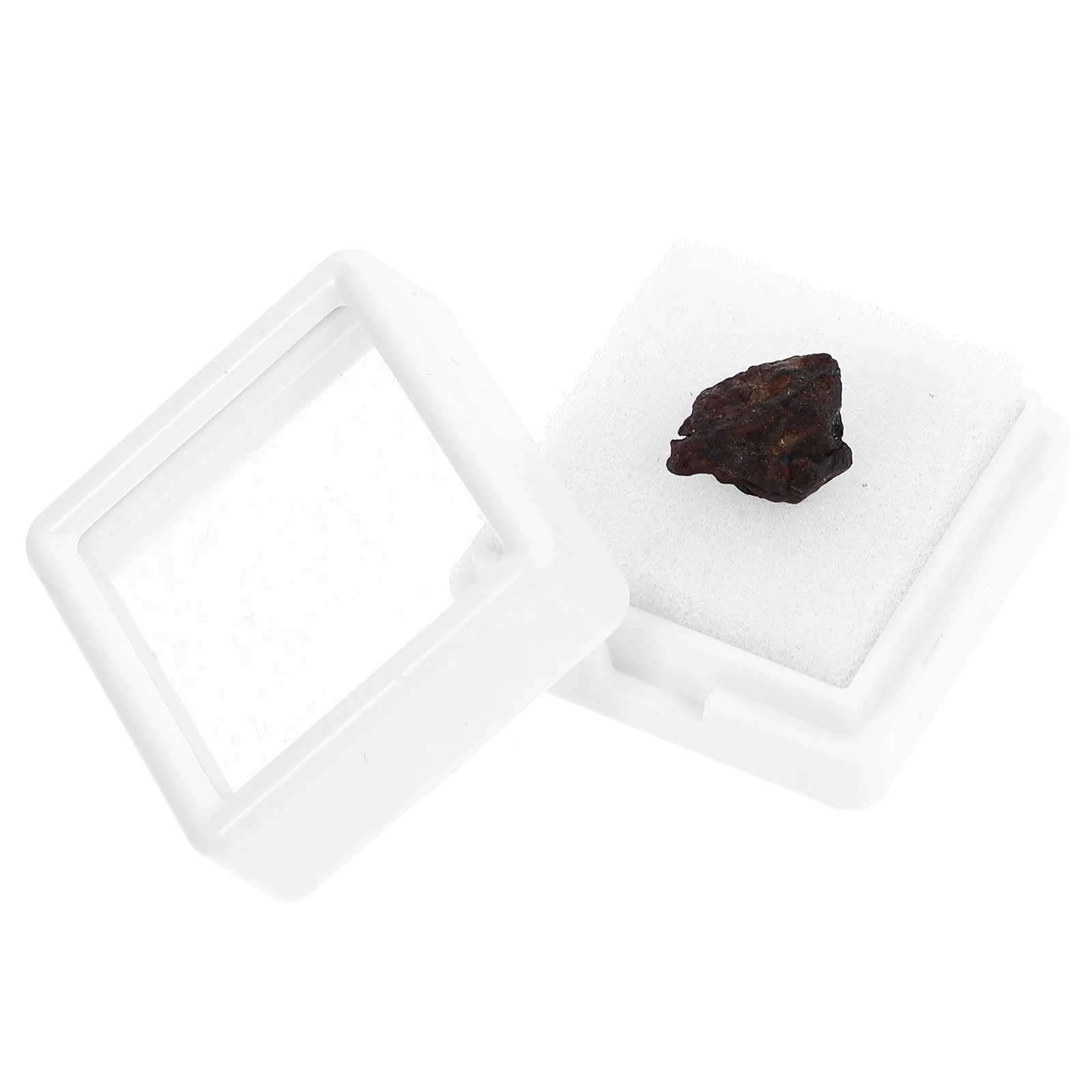 

Natural Lithosiderite Meteorite Specimen Science Teaching Tool Desktop Decoration Real Educational Plaything Specimen Sample For