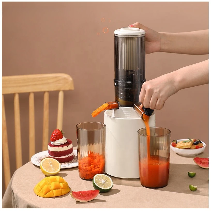 Slow Juicer Easy to Clean with Reverse Function of 95% High Juice Yield Small Juicer Extractor for Vegetables and Fruits