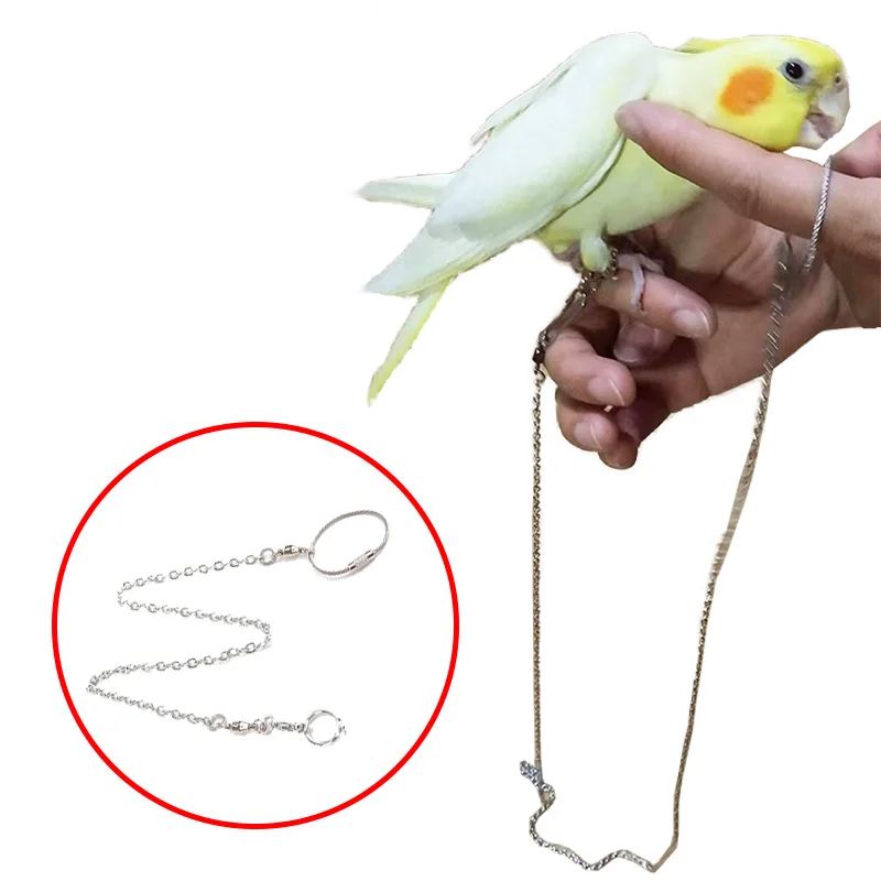 

Small Pet Bird Anti-escape Leg Birds Ring Parrot Training Leash Cockatiels Budgie Flying Training Rope Bird Accessories Oiseaux