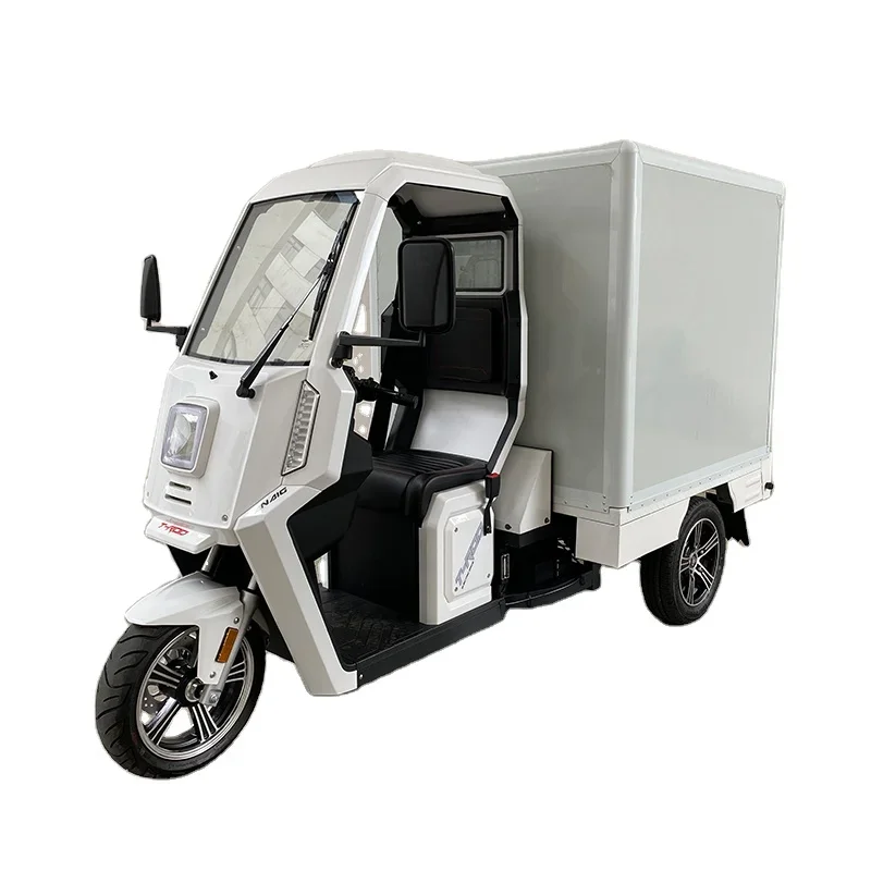 With Truck Box 3KW 4.5KW EEC Motor Lithium Battery Three Wheel Electric Automatic Adult Electric Tricycle