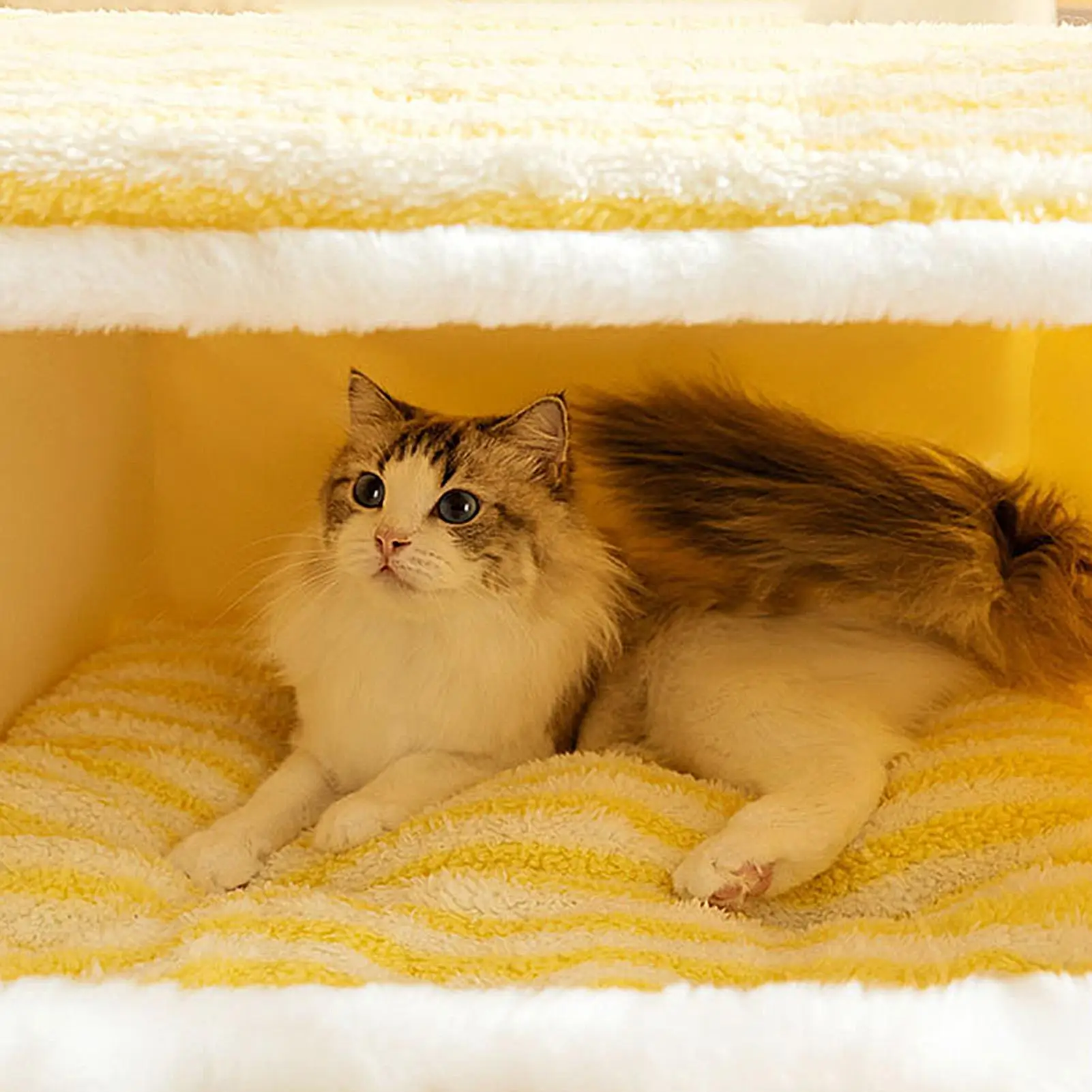 

Кровать для домашних животных на зиму, теплая пена с эффектом памяти, зимний домашний домашний коврик для кошек, для гостиной, спальни, гаража, балкона, маленького, среднего размера, под