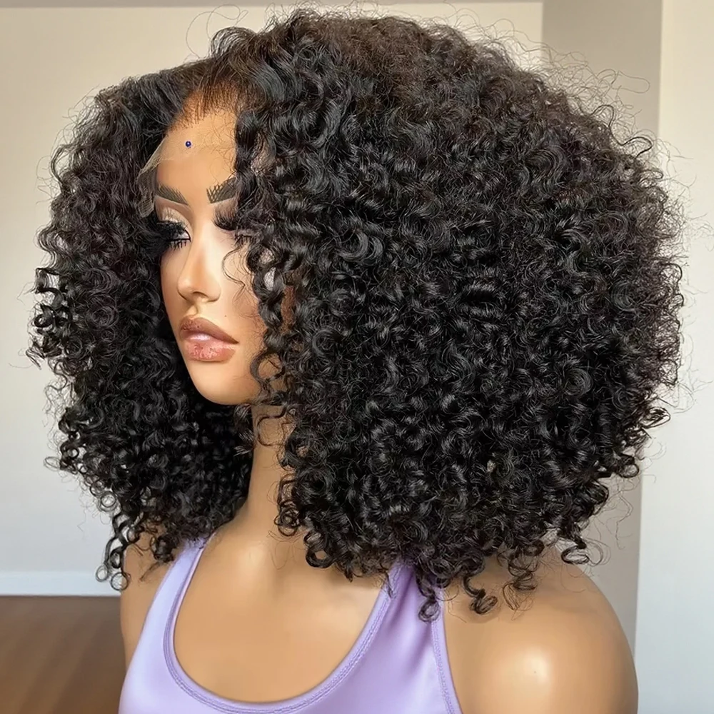 Curly 13X4 Glueless… - image