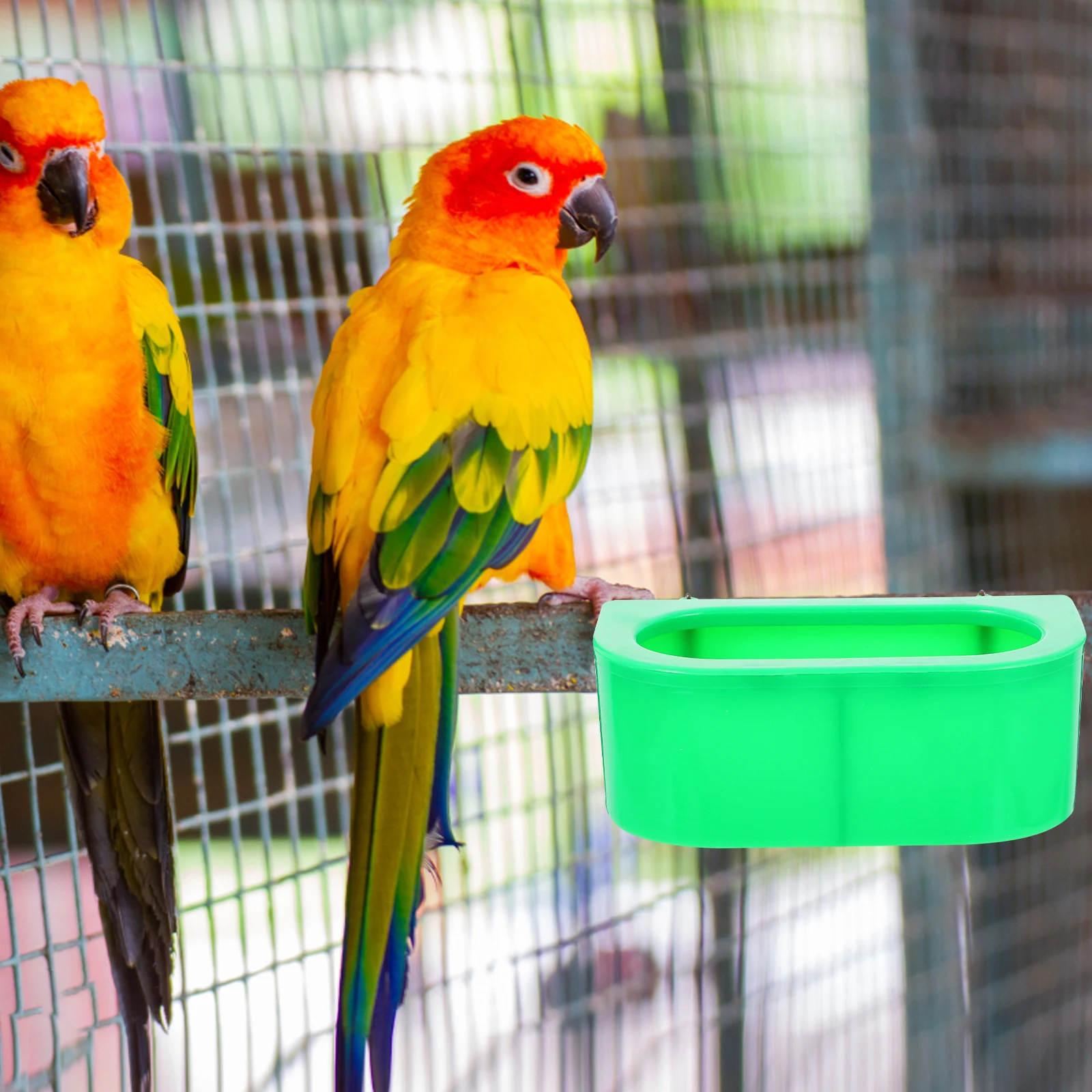 

10 Pcs Anti Splash Bird Feeder Durable Pet Supplies Pigeon Parrot Accessories Food Plate Easy Clean Feeding Dish Trays