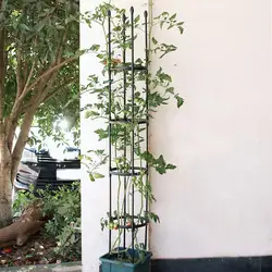 Garden Obelisk Metal Trellis Plant Cage And Flower Support For Climbing Plants Rustproof Arch PE PP Coating Steel Frame For