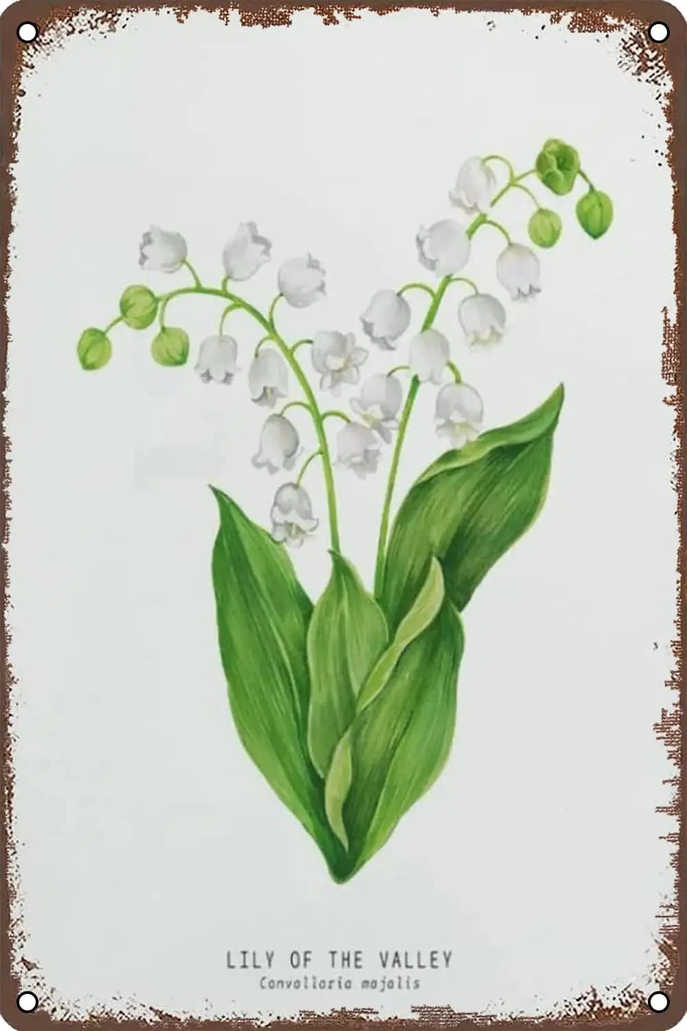 Vintage Metal Tin Sign Lily of The Valley Home Decor Retro Wall Decor for Home Garden Man Cave Bars Restaurants Cafes Office Sto