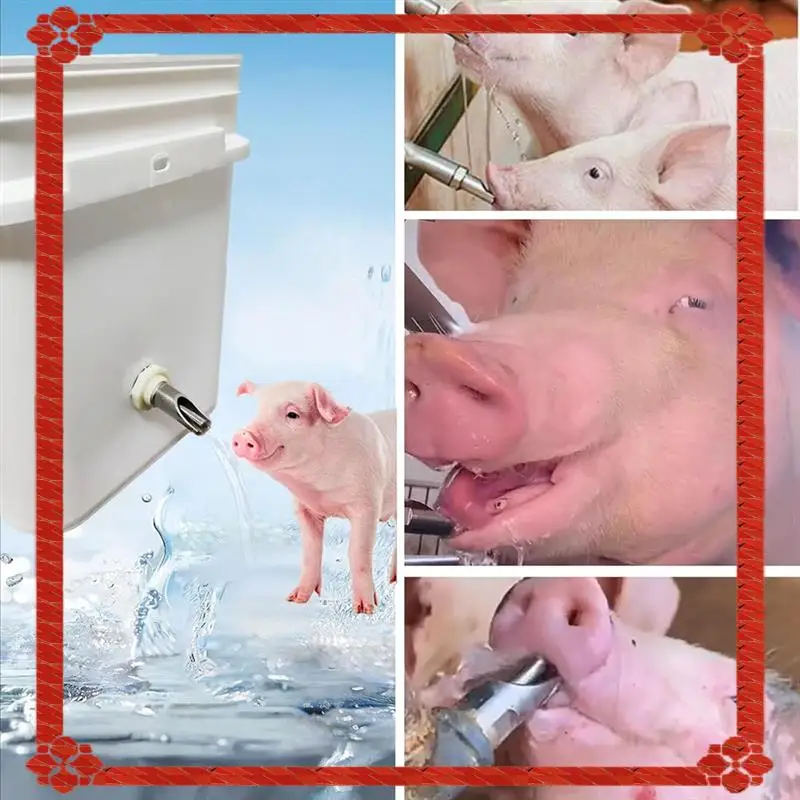 24-Hour Delivery Kit Of 5 PCS For Barrels Pig Nipple Waterer 1/2 Inch Stainless Steel Automatic Pig Water System Drinker Feeder