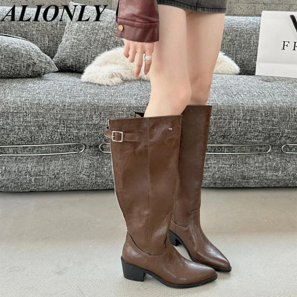 

Alionly 2024 New Winter Pleated Women Over The Knee Boots Sexy Stiletto High Heel Zipper Shoes Pointed Toe Female Long Booties