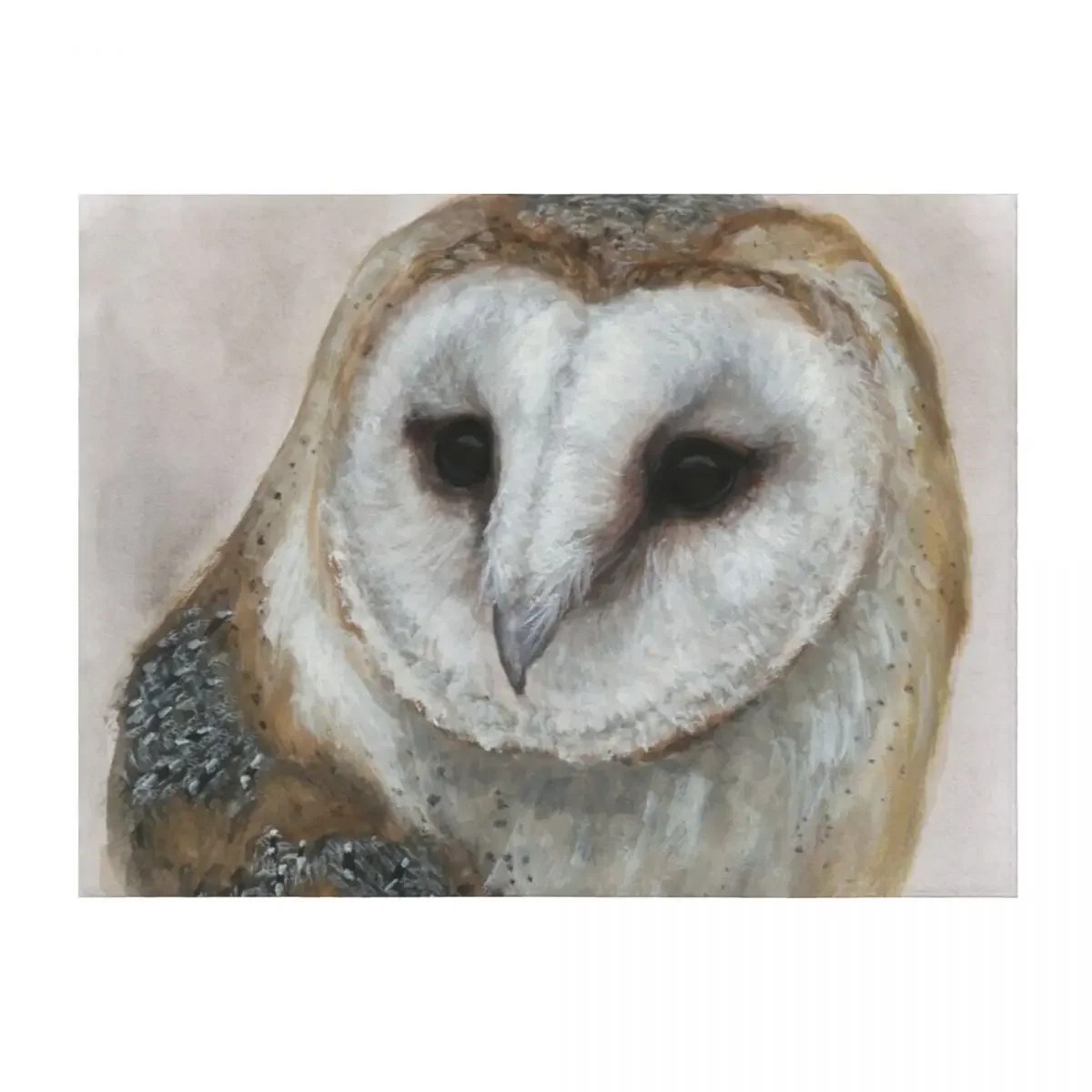 

Barn Owl Art Throw Blanket Shaggy Sleeping Bag Furry Luxury Thicken Blankets