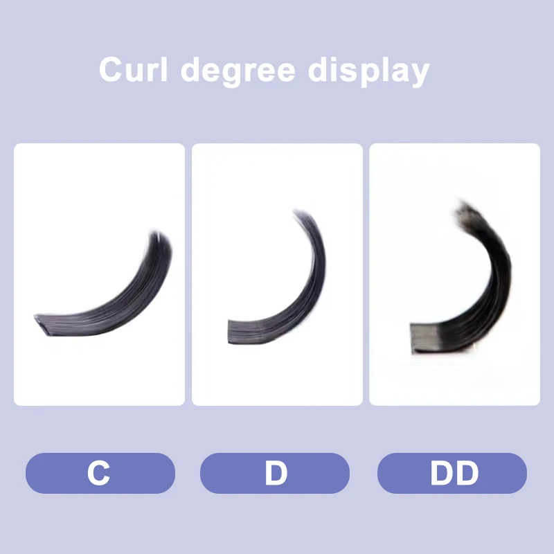 Ciglia a forma di W 3D C/D/DD Cluster Ciglia Premade Russo Volume Fan Estensione ciglia finte Forniture Cilia Strumenti per il trucco Nuovo