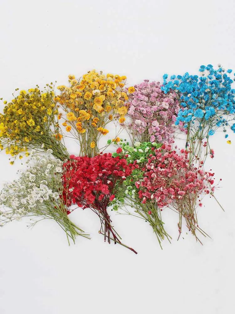 7-10CM, vraies fleurs pressées séchées naturelles souffle de bébé, branche de fleurs de gypsophile à pression sèche bricolage pour résine épox, carte cadeau de marque-page