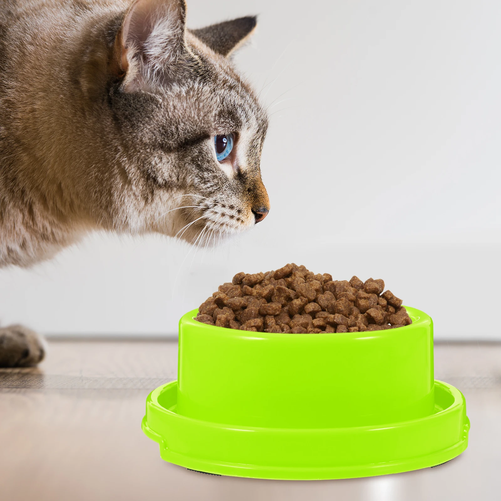 

Anti-Ant Pet Food Bowl Green Thick Plastic Dog Cat Feeding Bowl Waterproof Wear Resistant For Small Pets Chihuahua Teacup