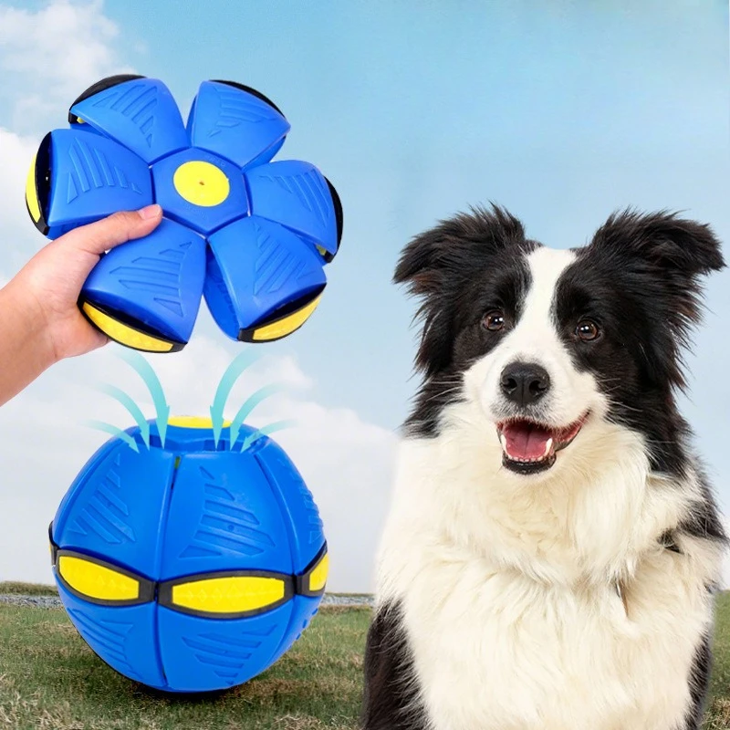 Jouets interactifs pour animaux de compagnie, balle ovni, jouets magiques et amusants pour animaux de compagnie, jouets d'entraînement en plein air, accessoires pour chiens, balle déformable