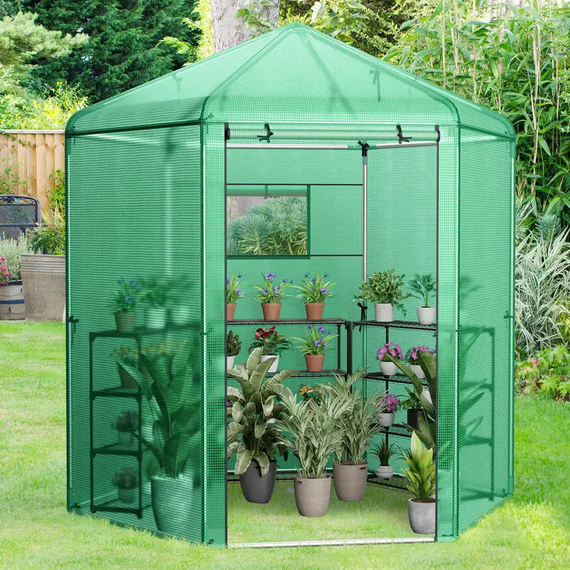 

Walk-In Hexagonal Greenhouse with PE Cover and Metal Frame