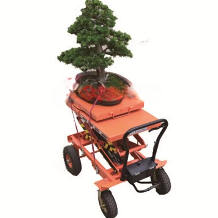 Bonsai Hydraulic Hand Push Hydraulic Plate Lifting Truck Preferential 500kg Scissors Lift Platform Truck for Lawn Mobile
